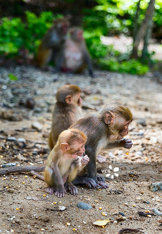 越南岘港图片素材