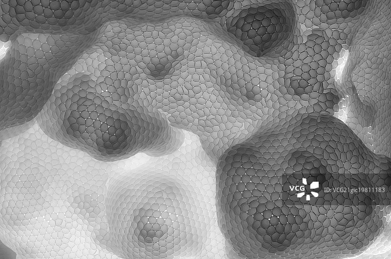 “无题”细节图片素材