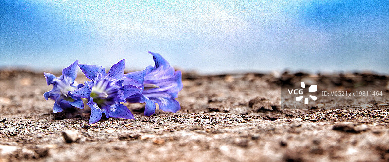 意大利圣保罗图片素材