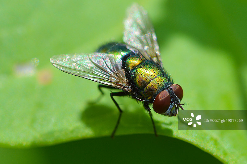 蓝色瓶子图片素材