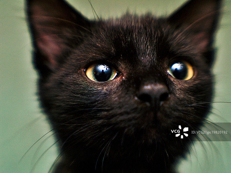 请给予款待图片素材