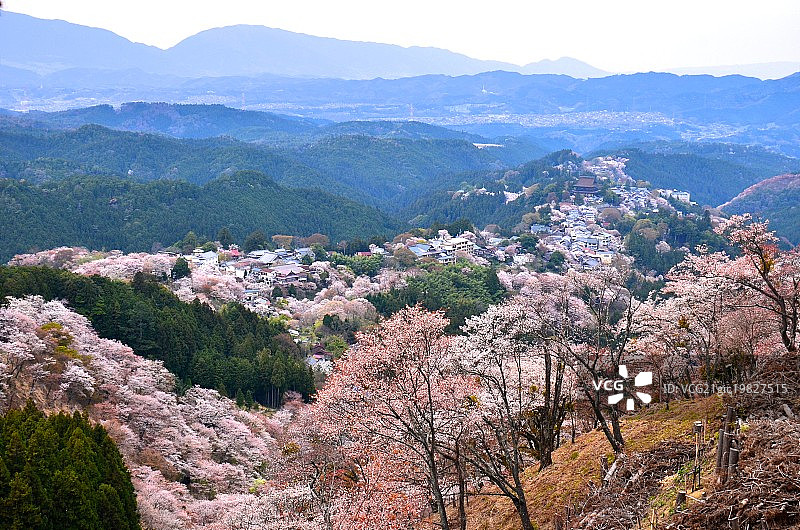 吉野山图片素材