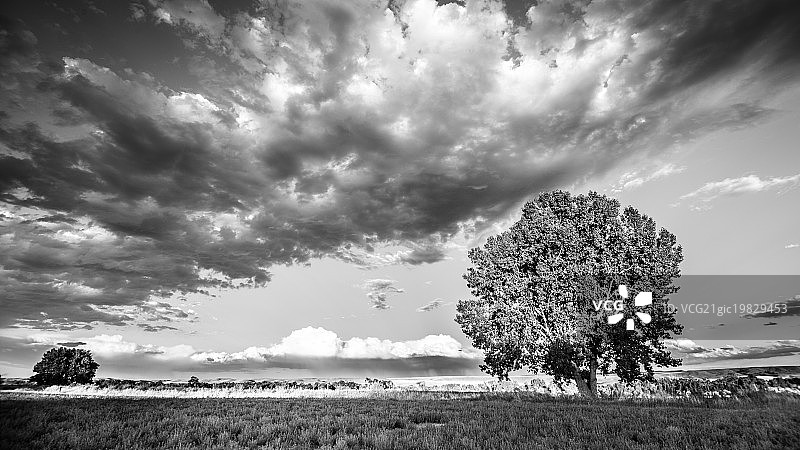 蒙大拿图片素材