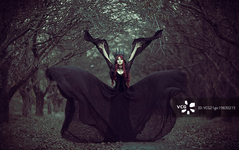 黑桃皇后图片素材