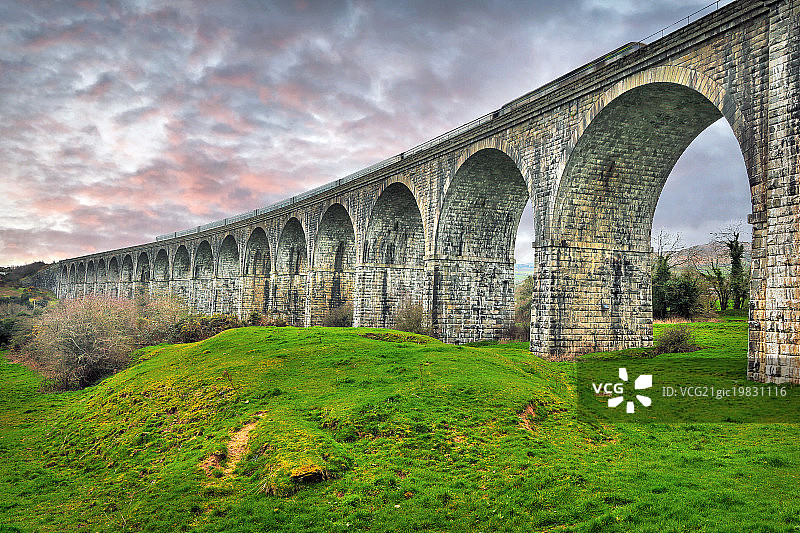 克雷格莫尔教练图片素材