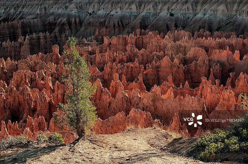 燃烧的布莱斯峡谷图片素材