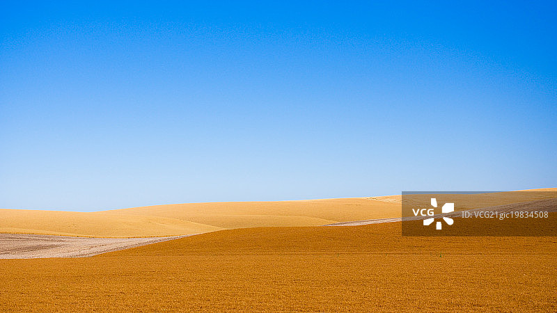 帕卢斯图片素材