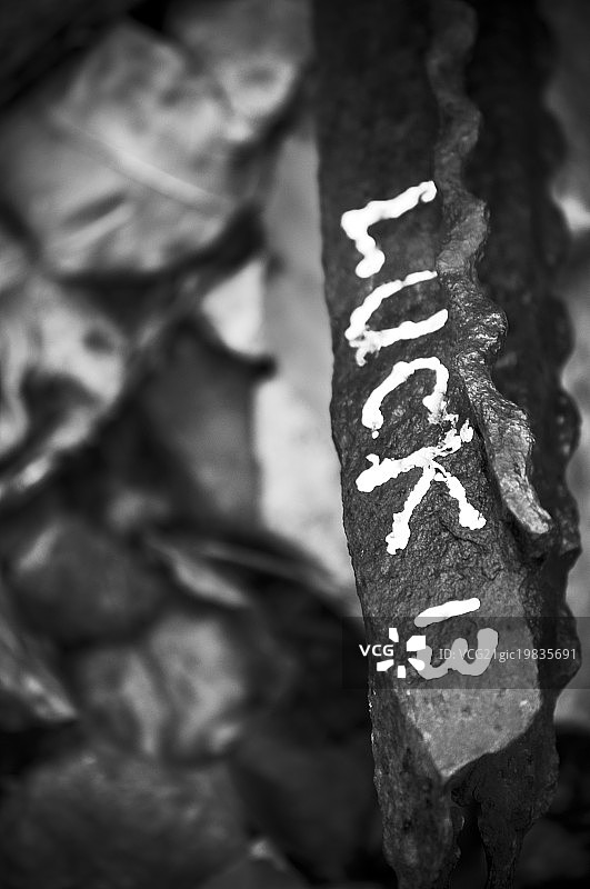 被误导的残余图片素材