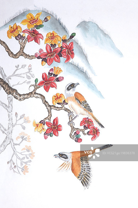 国画,花鸟画,木棉花,伯劳,图片素材