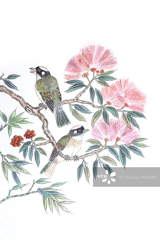 国画,花鸟画,合欢花,白头翁,图片素材