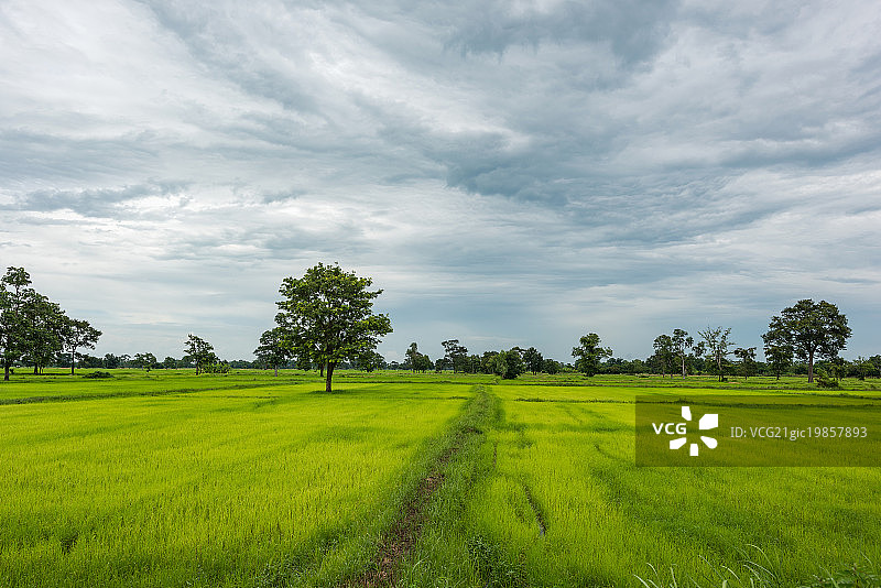 泰国田园风光图片素材