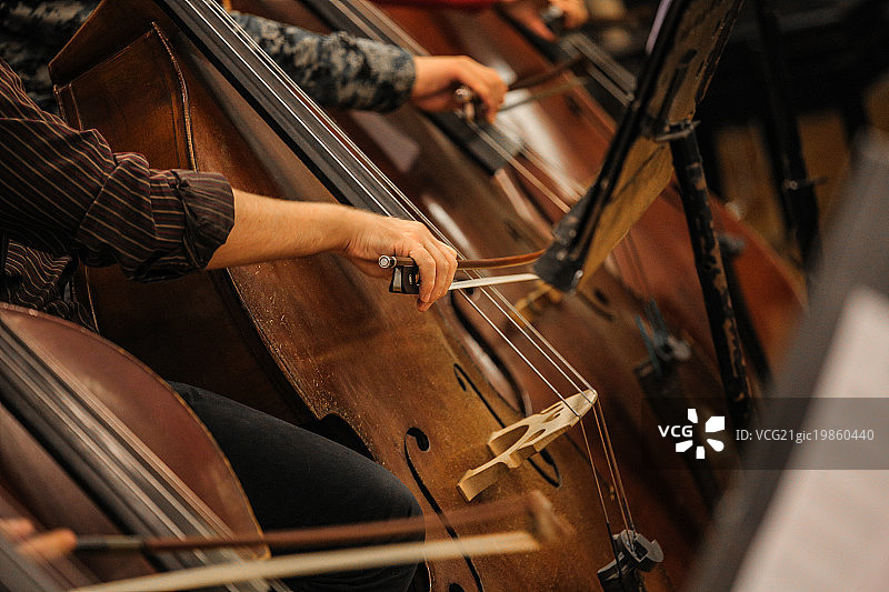 低音提琴图片素材