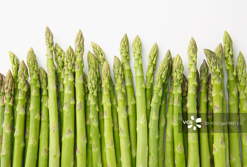 芦笋图片素材