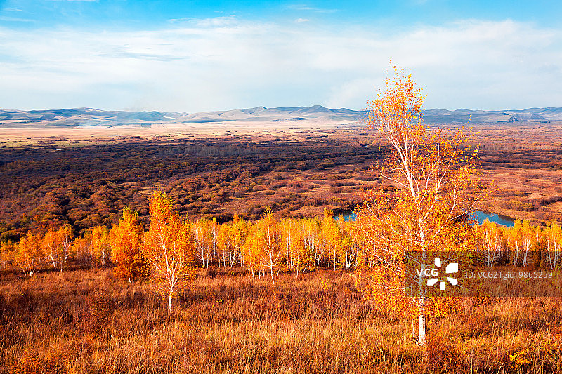 根河湿地秋色图片素材