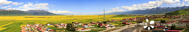 青海门源图片素材