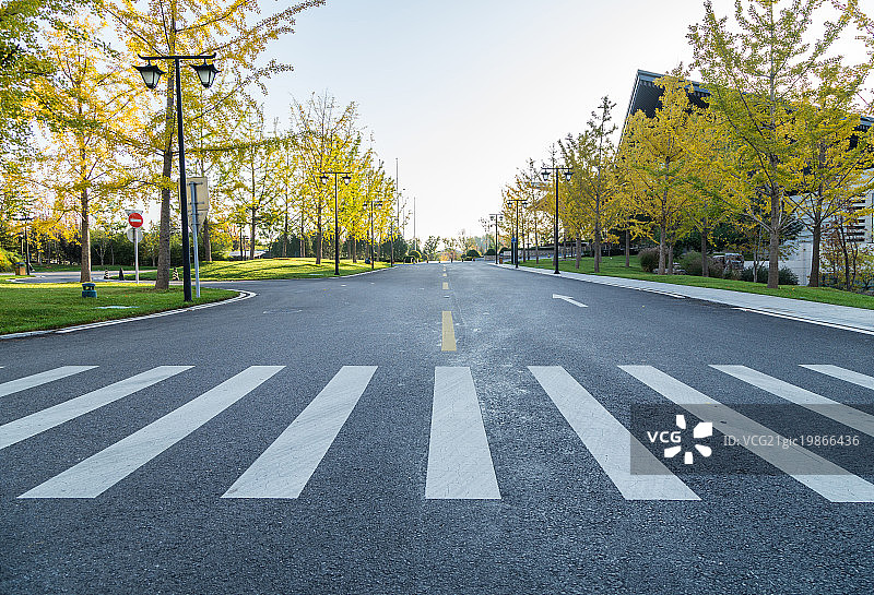 秋天清晨无人的街道图片素材