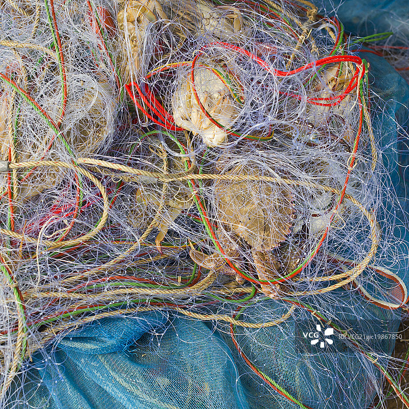 渔网中的蓝色螃蟹图片素材