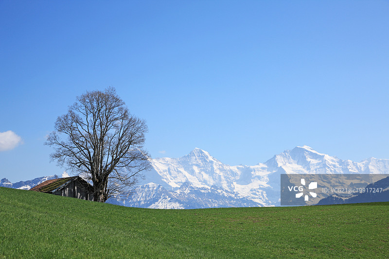 瑞士伯尔尼州Beatenberg少女峰-阿莱奇联合国世界遗产图片素材