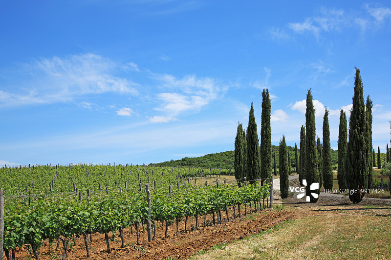 意大利托斯卡纳格罗塞托区：马雷玛图片素材
