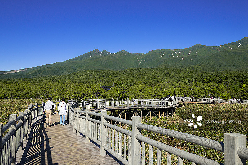 日本北海道知床半岛知床五湖国家公园的步道图片素材