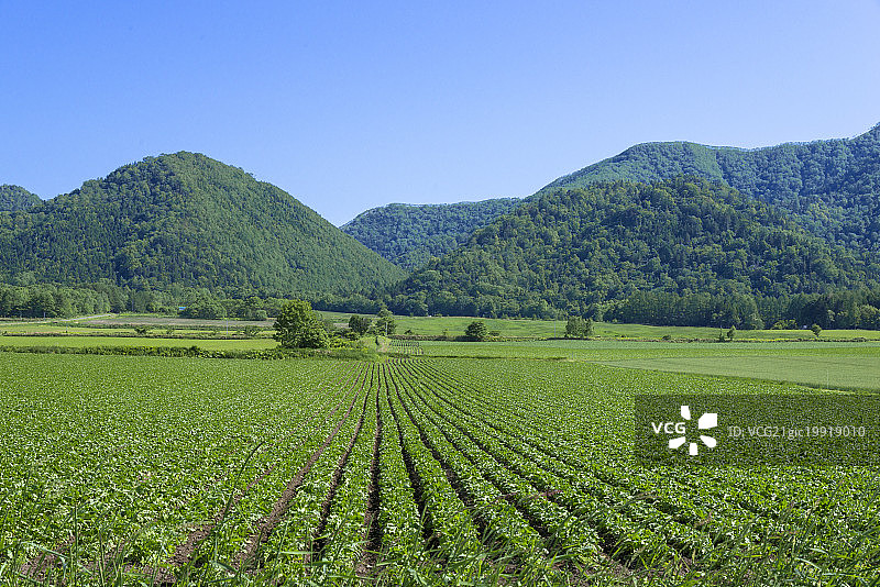 日本北海道鄂霍次克综合振兴局美幌町图片素材