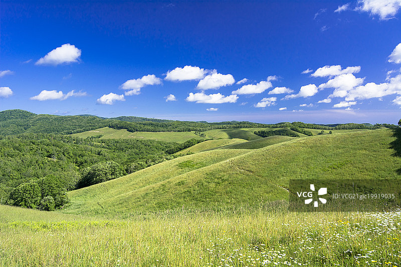 日本北海道美满别町的草原风光图片素材
