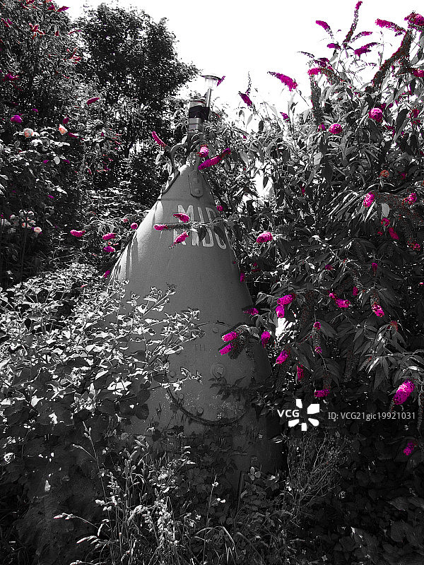 带灌木的浮标图片素材