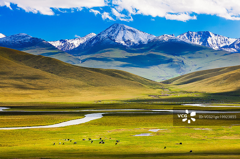 伊犁草原图片素材
