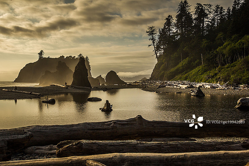 华盛顿州奥林匹克国家公园红宝石海滩图片素材