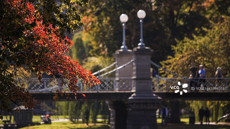 波士顿公园公共绿地图片素材