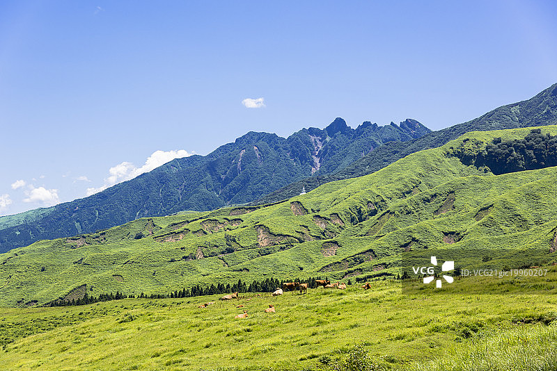 日本九州熊本县阿苏山的绿色山脉图片素材