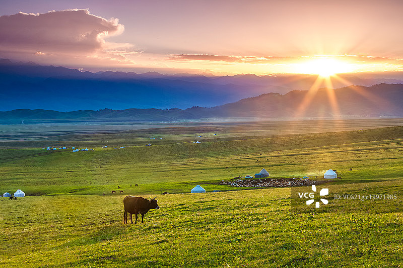 那拉提草原图片素材