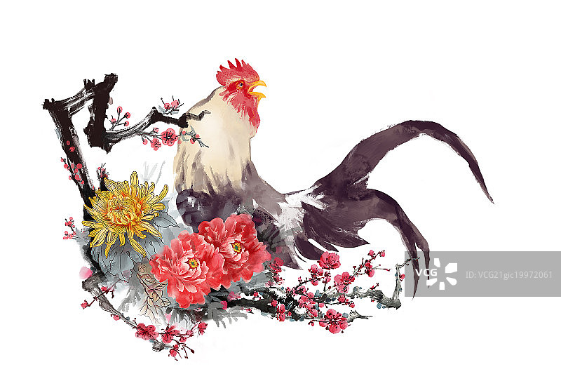 鸡年插画图片素材