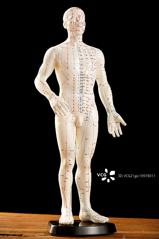 针灸穴位图片素材