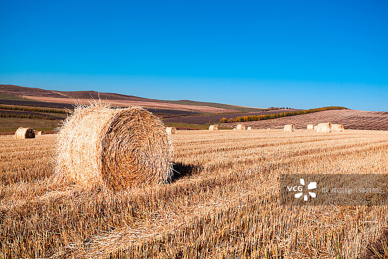 呼伦贝尔草原上的草卷图片素材