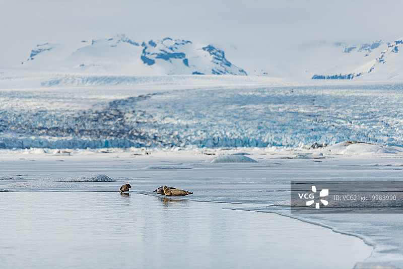 冰岛图片素材
