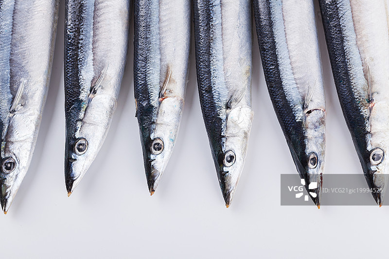 秋刀鱼图片素材