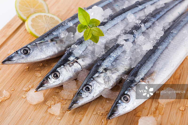 秋刀鱼图片素材