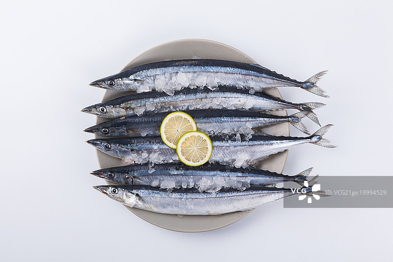 秋刀鱼图片素材