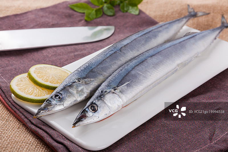 秋刀鱼图片素材
