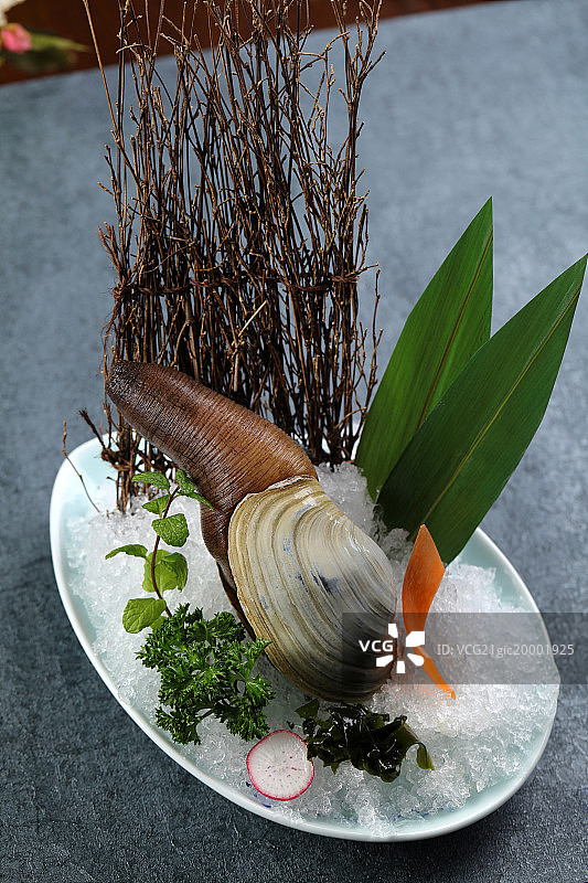 象拔蚌图片素材