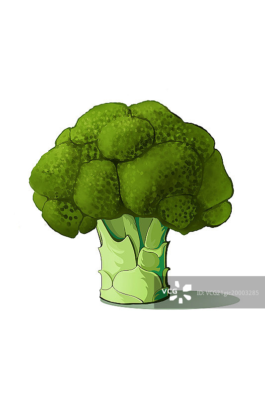 西兰花图片素材