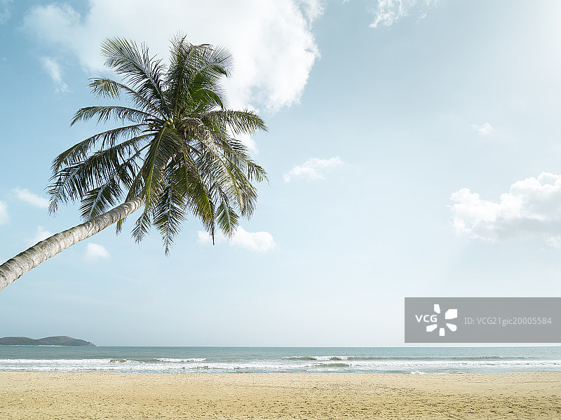 海南万宁石梅湾景区蓝天沙滩椰子树图片素材