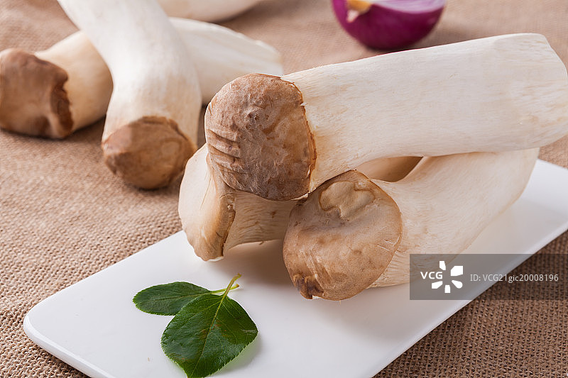 杏鲍菇图片素材