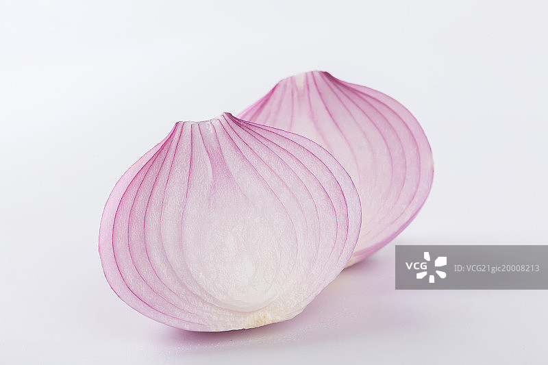 洋葱图片素材