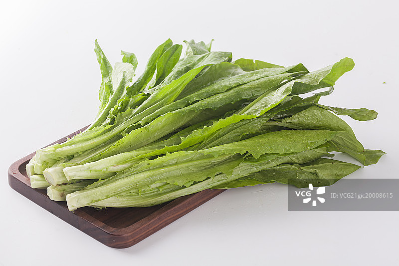 油麦菜图片素材