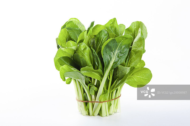 鸡毛菜图片素材