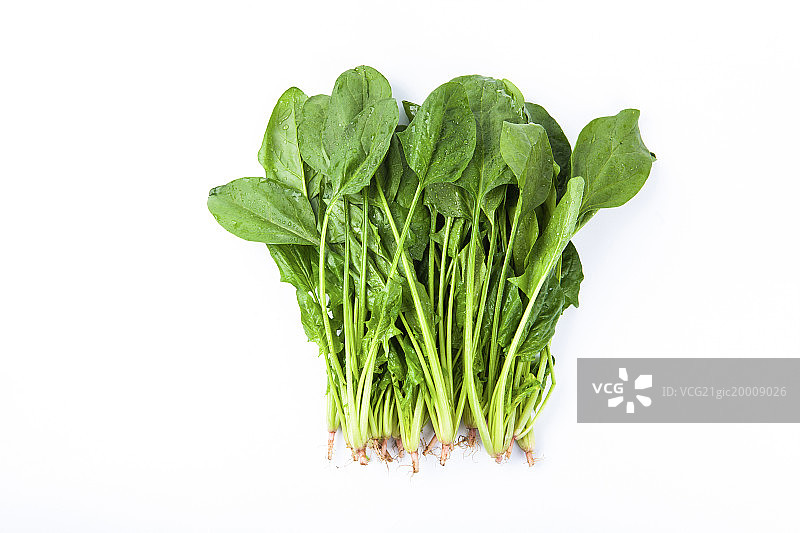 菠菜图片素材