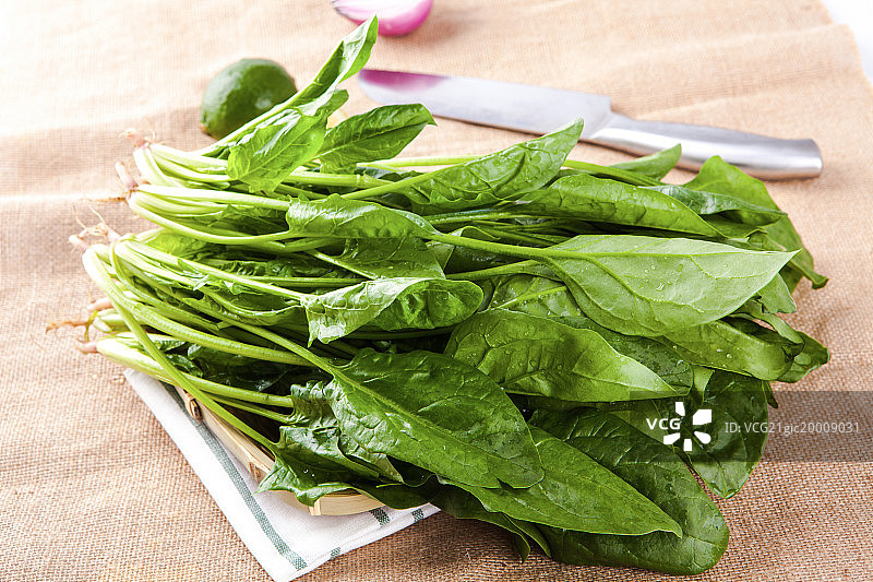 菠菜图片素材