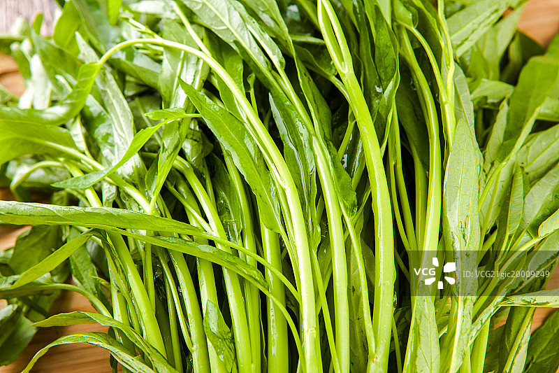 空心菜图片素材